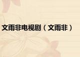 文雨非电视剧（文雨非）