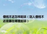 借钱不还怎样起诉（别人借钱不还需要在哪里起诉）