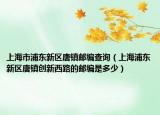 上海市浦东新区唐镇邮编查询（上海浦东新区唐镇创新西路的邮编是多少）