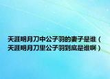 天涯明月刀中公子羽的妻子是谁（天涯明月刀里公子羽到底是谁啊）
