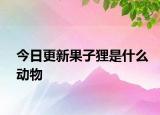 今日更新果子狸是什么动物