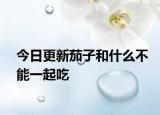 今日更新茄子和什么不能一起吃