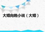 大婚向晚小说（大婚）