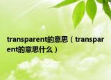 transparent的意思（transparent的意思什么）