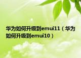 华为如何升级到emui11（华为如何升级到emui10）