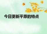 今日更新平原的特点