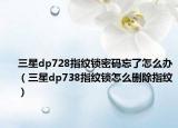 三星dp728指纹锁密码忘了怎么办（三星dp738指纹锁怎么删除指纹）