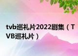 tvb巡礼片2022剧集（TVB巡礼片）