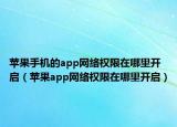 苹果手机的app网络权限在哪里开启（苹果app网络权限在哪里开启）