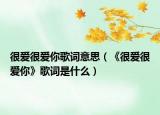 很爱很爱你歌词意思（《很爱很爱你》歌词是什么）