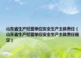 山东省生产经营单位安全生产主体责任（山东省生产经营单位安全生产主体责任规定）