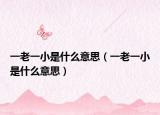 一老一小是什么意思（一老一小是什么意思）