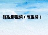 陈世柳视频（陈世柳）