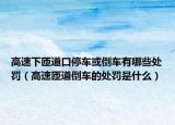 高速下匝道口停车或倒车有哪些处罚（高速匝道倒车的处罚是什么）