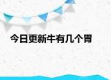 今日更新牛有几个胃