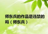 师东兵的作品是违禁的吗（师东兵）