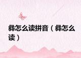 彝怎么读拼音（彝怎么读）