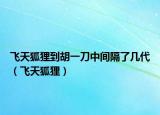飞天狐狸到胡一刀中间隔了几代（飞天狐狸）