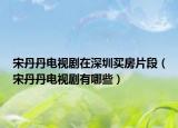宋丹丹电视剧在深圳买房片段（宋丹丹电视剧有哪些）