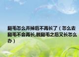 腿毛怎么弄掉后不再长了（怎么去腿毛不会再长,脱腿毛之后又长怎么办）