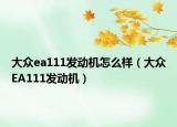 大众ea111发动机怎么样（大众EA111发动机）