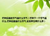 芒种后面的节气是什么节气（芒种下一个节气是什么,芒种后面是什么节气,夏至养生喝什么茶）