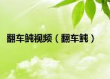 翻车鲀视频（翻车鲀）