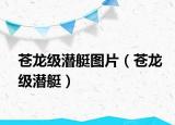 苍龙级潜艇图片（苍龙级潜艇）