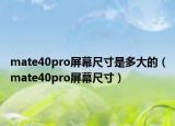 mate40pro屏幕尺寸是多大的（mate40pro屏幕尺寸）