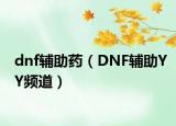 dnf辅助药（DNF辅助YY频道）
