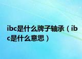 ibc是什么牌子轴承（ibc是什么意思）