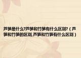 芦笋是什么?芦笋和竹笋有什么区别?（芦笋和竹笋的区别,芦笋和竹笋有什么区别）