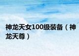 神龙天女100级装备（神龙天尊）