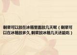剩菜可以放在冰箱里面放几天呢（剩菜可以在冰箱放多久,剩菜放冰箱几天还能吃）