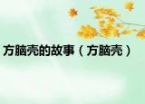 方脑壳的故事（方脑壳）