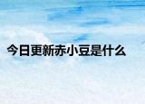 今日更新赤小豆是什么