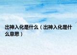 出神入化是什么（出神入化是什么意思）