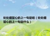 处处细留心的上一句是啥（处处细留心的上一句是什么）