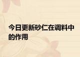 今日更新砂仁在调料中的作用