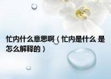 忙内什么意思啊（忙内是什么 是怎么解释的）