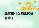 鼻痒用什么药比较好（鼻痒）