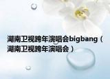 湖南卫视跨年演唱会bigbang（湖南卫视跨年演唱会）