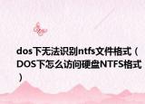 dos下无法识别ntfs文件格式（DOS下怎么访问硬盘NTFS格式）