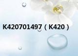 K420701497（K420）