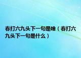 春打六九头下一句是啥（春打六九头下一句是什么）