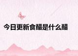 今日更新食醋是什么醋
