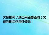 欠债被判了刑出来还要还吗（欠债判刑后还用还债吗）