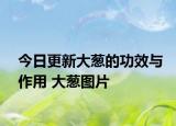 今日更新大葱的功效与作用 大葱图片