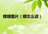 嬛嬛图片（嬛怎么读）