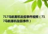 717马航客机坠毁事件视频（717马航客机坠毁事件）
